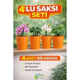 Plant Home Power Mix Dekoratif Turuncu Orkide Saksısı - 4 Adet Set Fiyatlı -12 Pot Üretim Saksısına Uygun Kaliteli Ürün
