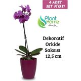 Plant Home Power Mix Dekoratif Vişne Orkide Saksısı - 4 Adet Set Fiyatlı -12 Pot Üretim Saksısına Uygun Kaliteli Ürün