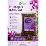 Plant Home Power Mix İthal Çam Kabuğu 1 Litre – Orkide ve Saksı Bitkileri İçin Doğal Çam Kabuğu