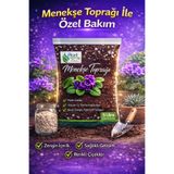 Plant Home Power Mix Menekşe Toprağı 5 L – Yüksek Cocopeat İçerikli, Perlit Katkılı Bitki Toprağı