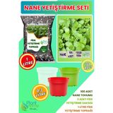 Plant Home Power Mix Nane Yetiştirme Seti – Nane Tohumu + Cocopeat & Perlit Katkılı Fide Toprağı + 3’lü Drenajlı Saksı