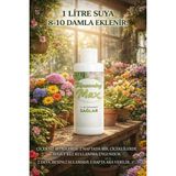 Plant Home Power Mix Orkide Çiçek Besini & Salon Bitkileri Için – Güçlü Dal Gelişimi, Uzun Süreli Çiçeklenme 100 ml