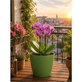 Plant Home Power Mix Orkide Saksısı Koyu Yeşil Renk - 1 Adet 12 Pot Orkide Üretim Saksısı Hediye