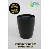 Plant Home Power Mix Orkide Saksısı Siyah Dekoratif Dış Saksı 1 Adet- 12 Pot Şeffaf Orkide Üretim Saksısı Hediyeli