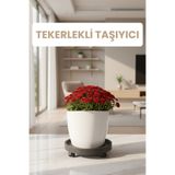 Plant Home Power Mix Tekerlekli Saksı Taşıyıcı – 360° Dönen Tekerli Saksı Altlığı (7 cm Yükseklik, 35 cm Çap)