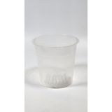 Plant Momzie 11 cm Şeffaf Saksı