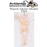 Plastik İskelet Modeli 20 cm 1 Adet Plastik İnsan İsket Modeli Silikon İskelet Deneyi Araba Süsü