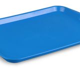 Plastport 27x36 cm Mavi Servis Tepsisi
