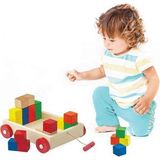 Playwood 312 Ahşap Renkli Küp Bloklu Araba