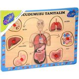 Playwood Çocuk Zeka Puzzle Ahşap Oyunları - Renkli