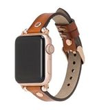 Plm Apple Watch Uyumlu Deri Kordon 42-44-45mm Rg Rst2ef Renksiz
