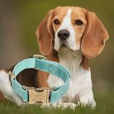 PLM Gerçek Deriden El Yapımı Köpek Tasması, 50CM Ayarlanabilir Ölçü, Antik Yeşil - -