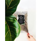 PLOT Tropik Bitki Toprağı / İçmekan Bitkisi ve Çiçek Toprağı 10 lt Özel Karışım