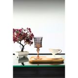 PLT Design 6 Adet Füme Renk Kristal Ayaklı Kahve Yanı Su Ve Meşrubat Bardağı Sunum Bardağı