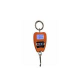 Plt Power 8088 200 kg Vinç Kantar