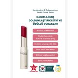 Plumpang Color Lip Balm Plum Berry 4g - Nemlendirici & Dolgunlaştırıcı Renkli Dudak Balmı