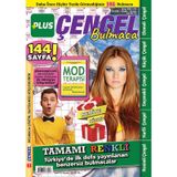 Plus Çengel Bulmaca 002