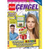 Plus Çengel Bulmaca 013