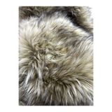 PLUSH STUDIO ISTANBUL Zp Ithal Rakun Desen, 1500 Gr Highend Peluş Kumaş, Yapay Kürk Yüksek Kalite 50x150 Cm Ev Tekstili