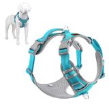 Plutus Pet Çekme Köpek Koşum Takımı, Boyunda Bırakma, Yansıtıcı Ayarlanabilir Köpek Yelek Koşum, Yürüyüş için Kolay Kontrol Kolu, Küçük Orta Büyük Köpekler için, Cam Göbeği, S