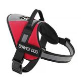 Plutus Pet Servis Köpek Yeleği, Çekmesiz Köpek Yeleği, Kolay Kontrol Saplı Koşum, Yansıtıcı Nefes Alabilir Yumuşak Pedli ve Ayarlanabilir, Küçük Orta Büyük Köpekler için