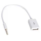 Pm-33294 Usb Dişi To Aux Stereo 3 Boğumlu Kablo