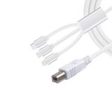 Pmr 3 İn 1 Type C-lightning- Micro Usb To Type B Printer Kablosu