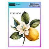 podyum baskı Ütü Ile Yapışan Tekstil Dtf Baskı Tişört Baskısı dekoratif limon baskısı