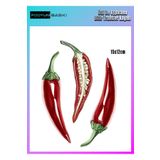 podyum baskı Ütü Ile Yapışan Tekstil Dtf Baskı Tişört ve Dekorasyon biber baskı kağıdı
