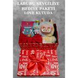 Pofika Sevgiliye Özel Kutuda Labubu The Monsters Peluş ve Labubu Fiğür Hediye Seti