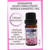 Point Care 10 ml Japon Kiraz Çiçeği Kokulu Mum Esansı