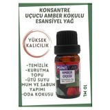 POINT CARE Amber Çiçeği Mum Esansı Esansiyel Uçucu Yağ Buhurdanlık Yağı Difüzör Kokusu Kurutma Topu Yağı Koku