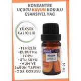 Point Care Kavun Esansiyel Uçucu Buhurdanlık Kurutma Topu Yağı Difüzör Kokusu