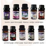 Poınt Care Kokulu Esansiyel Uçucu Yağ 10 Adet, Aromatik Çamaşır Kurutma Topu, Buhurdanlık Kokusu
