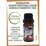 Point Care Portakal Esansiyel Uçucu Buhurdanlık Kurutma Topu Yağı Difüzör Kokusu