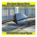 Poınt Marketıng Elektrikli Her Araca Uygun Siyah Shark Köpek Balığı Balina Tavan Anteni E.M.