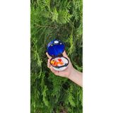 Pokemon İkili Set Great Poke Topu Charmander Hediyeli 2 Parça Mavi Renkli Eğlenceli Oyun
