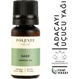 Polente Natural 10 ml Adaçayı Uçucu Yağı
