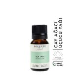 Polente Natural 10 ml Çay Ağacı Uçucu Yağı