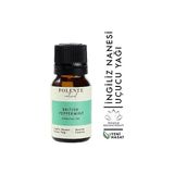 Polente Natural 10 ml İngiliz Nanesi Uçucu Yağı
