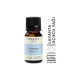 Polente Natural 10 ml Lavanta Uçucu Yağı