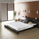 Poli Ergonomik Ortopedik Pocket Yaylı Yatak 90*200