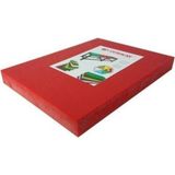 Polietilen Kesme Tahtası Kırmızı 50X30X4CM