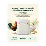POLİMED Kanatlı Vitamin ve Aminoasit Takviyesi 5L – Civciv Gelişim & Yumurta Verim Desteği