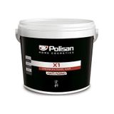 Polisan 2,5 lt Açık Kahve X1 Amerikan Panel Kapı Boyası