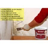 Polisan Antibakteriyel Elegans Extra 2.5 lt / 3.5 kg + 9 Parça Set Silikonlu Su Bazlı Tütsü Renk İç Cephe Boyası