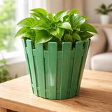 Poliva Home Akasya Pastel Saksı 1 Litre 14 cm Plastik Drenaj Izgaralı Çiçek Saksısı Katüs Skulent Saksı - Yeşil
