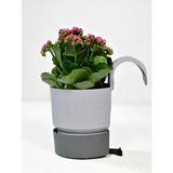 Poliva Home Ixora Tekli Askılı Balkon Saksı Gri Renk 2 Lt Genişlik 15 cm Yükseklik 22 cm Derinlik 15 cm