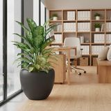 Poliva Home Lale Desen Dekoratif Mocha Saksı 25 Lt - Büyük Boy Modern Salon & Bahçe Saksısı Haznesiz - Antrasit