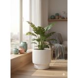 Poliva Vega Model Büyük Dekoratif Modern Saksı ve Vazo 20 Lt ( 31,5cm x 32 cm )Içsiz - Beyaz
